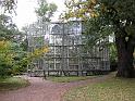 2009-10-14, Kamelie (1)